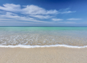 314612612_719157739575642_5956159342352839272_n